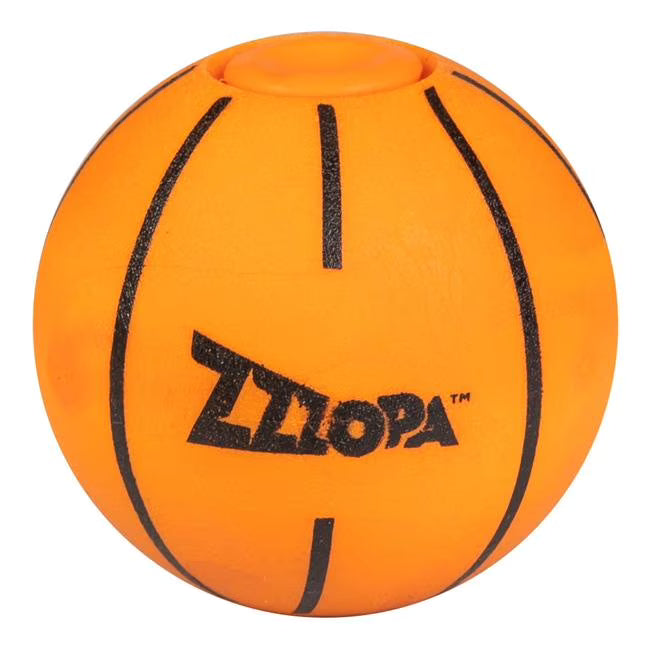 Slam Dunk Ball X312009
