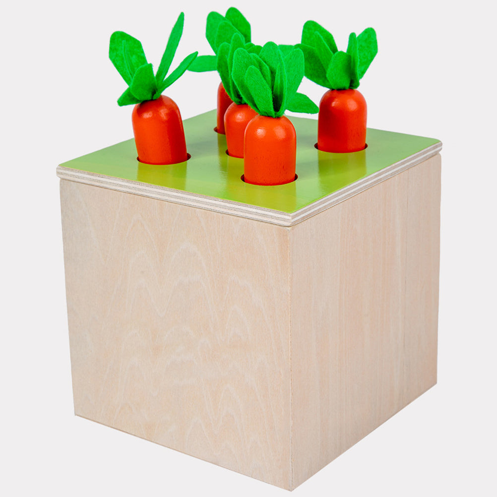 Intelligence Box Coin Wooden Toddler Baby Toy D6748