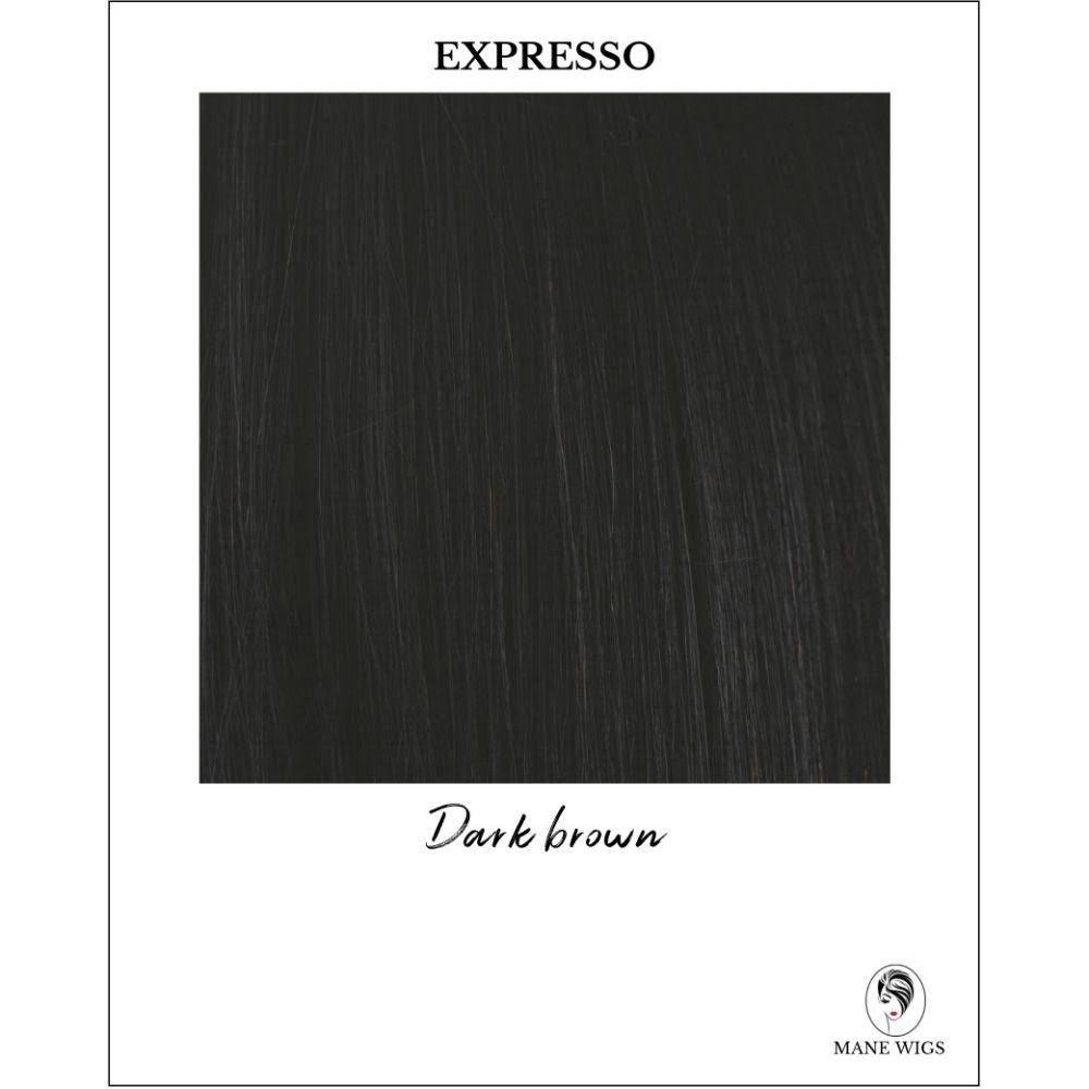 Expresso Synthetic Wig A714
