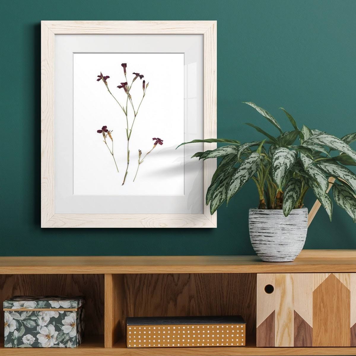 Walnut Framed Print J305185