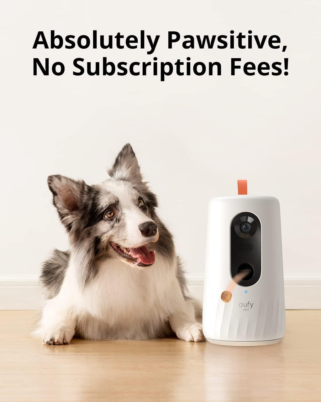 Pet Dog Camera with Treat Dispenser, 2-Way Audio, Night Vision H717528