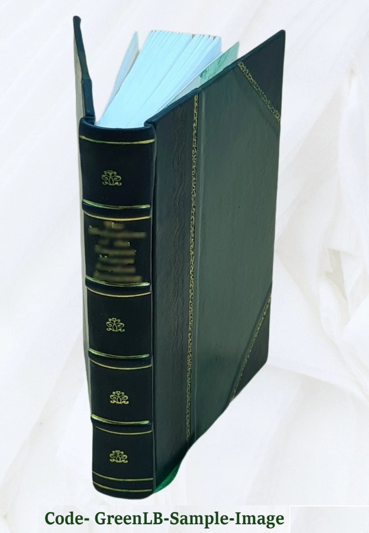 Valhalla; a novel 1900 [Leather Bound] F836