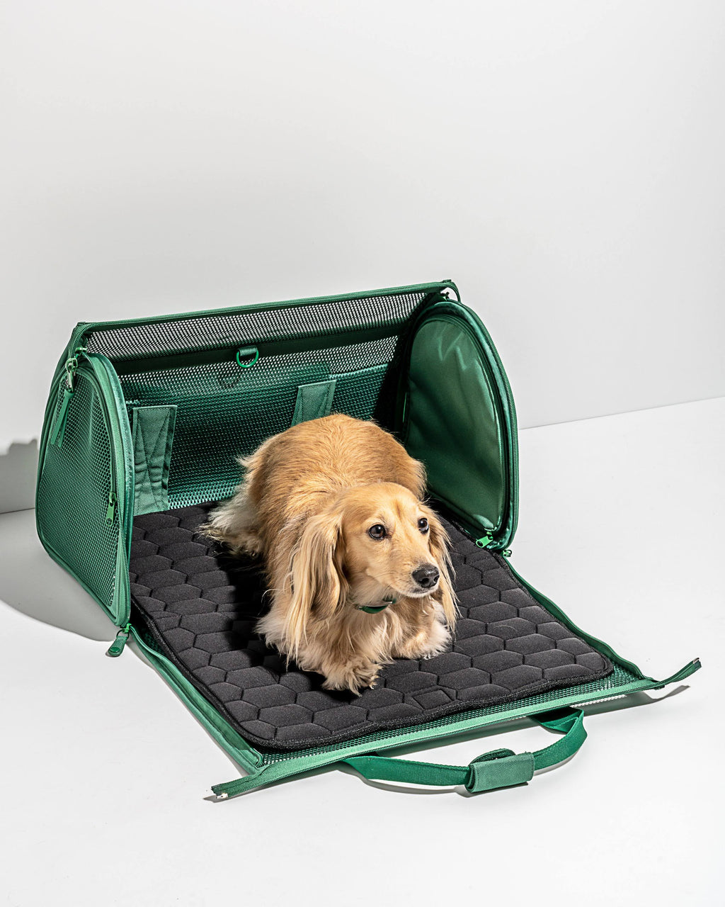 Black Travel Carrier A1876