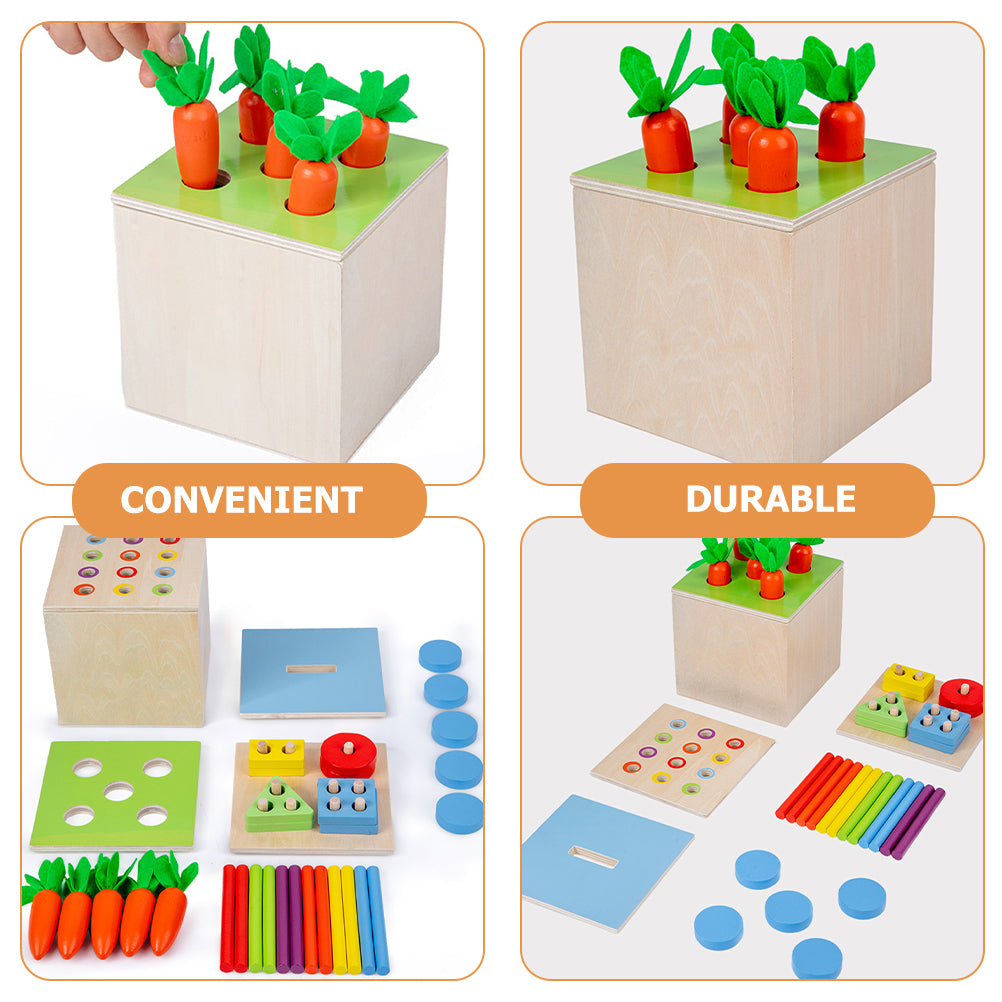Intelligence Box Coin Wooden Toddler Baby Toy D6748