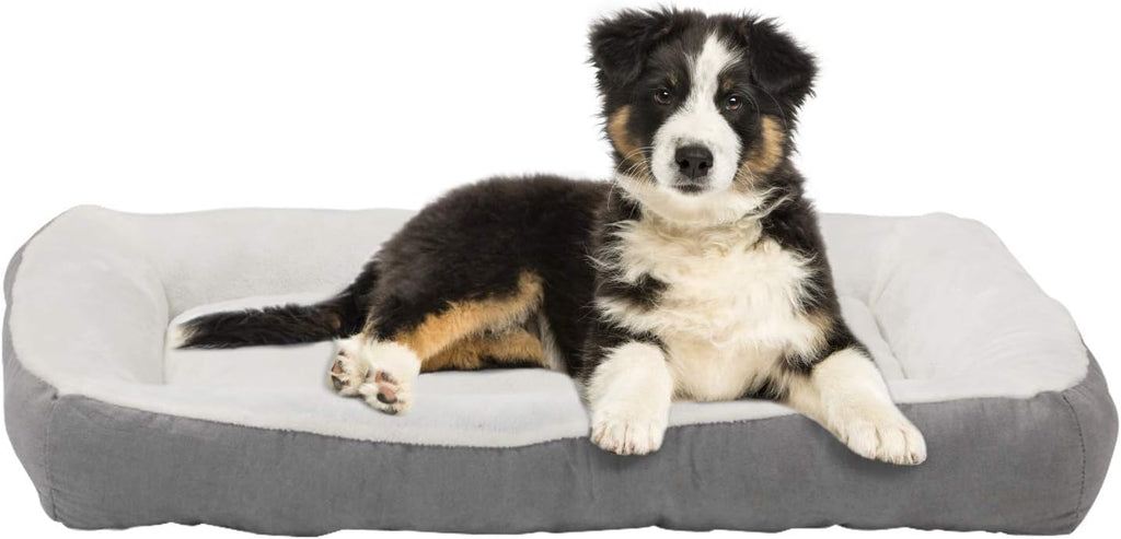 Gray Rectangle Pet Bed, 40 x 30 inches, Plush, Pack of 2 D951