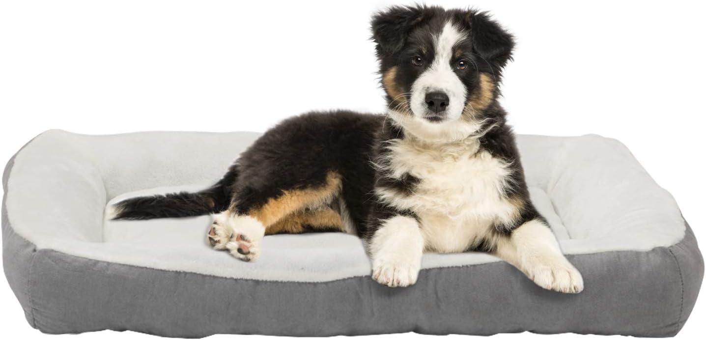 Gray Rectangle Pet Bed, 40 x 30 inches, Plush, Pack of 2 D951