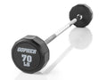 Fixed Barbells Size 70 lb O281