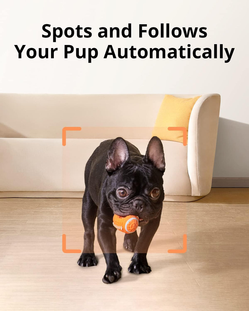 Pet Dog Camera with Treat Dispenser, 2-Way Audio, Night Vision H717528