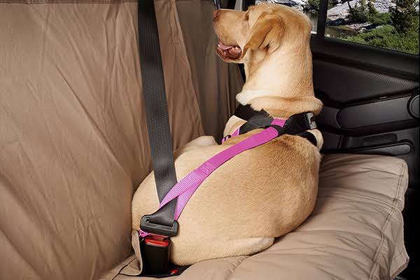 Pink Travel Harness W76620