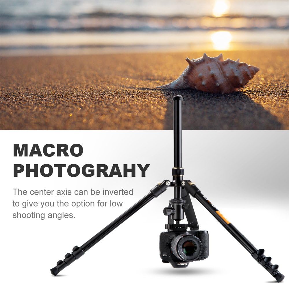 62'' Aluminum Camera Tripod with Ball Head O481