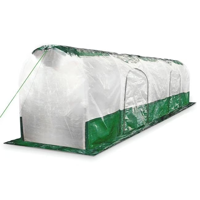 Polytunnel Super Dome P234775