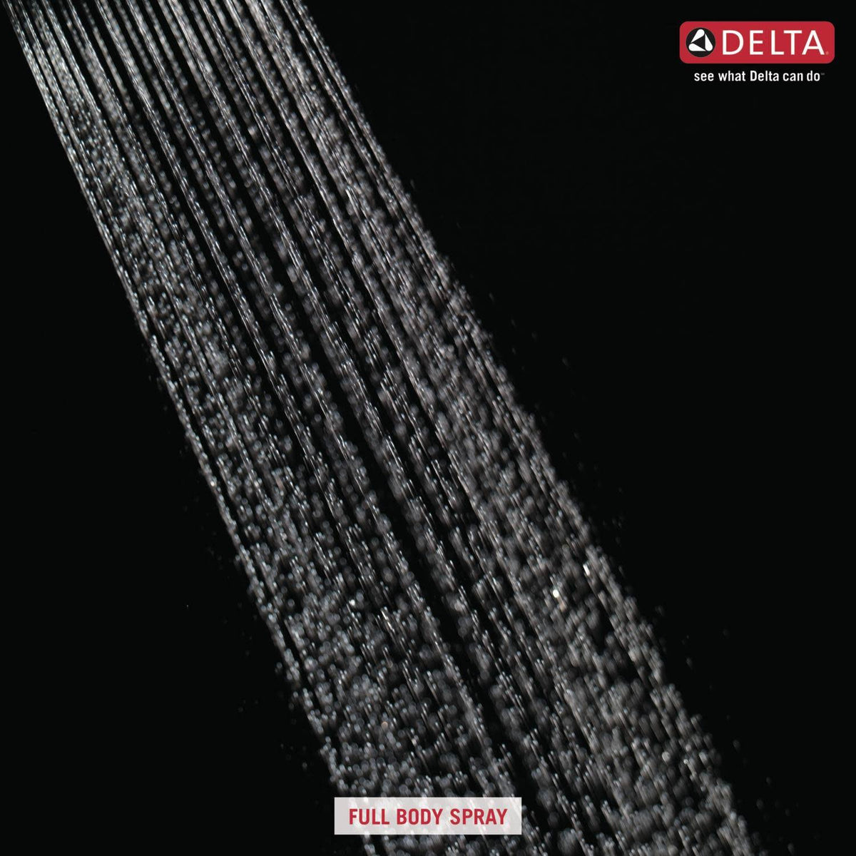 Chrome Shower Trim Z6095