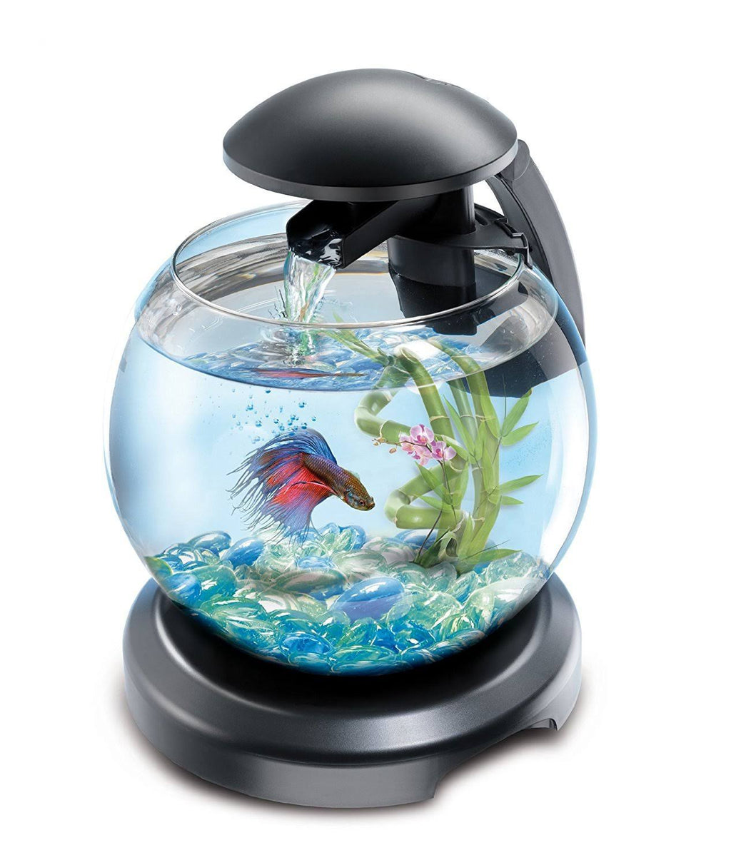 Cascade Globe Aquarium Y1227