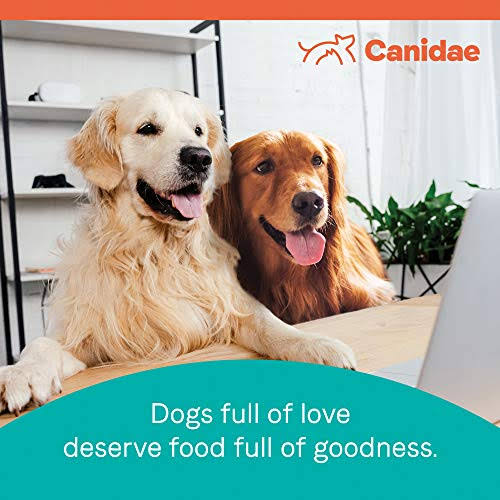 15 lbs Lamb Meal & Rice Dog Dry Food X56856