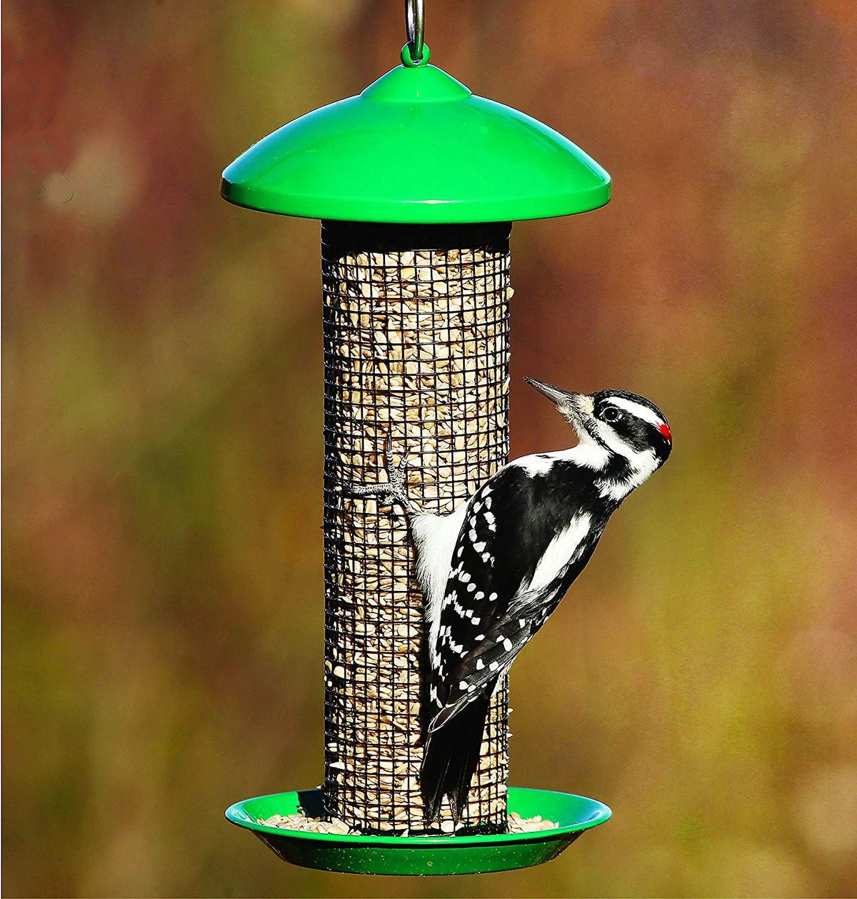 Green Mini Mesh Screen Bird Feeder with Metal Roof Y622