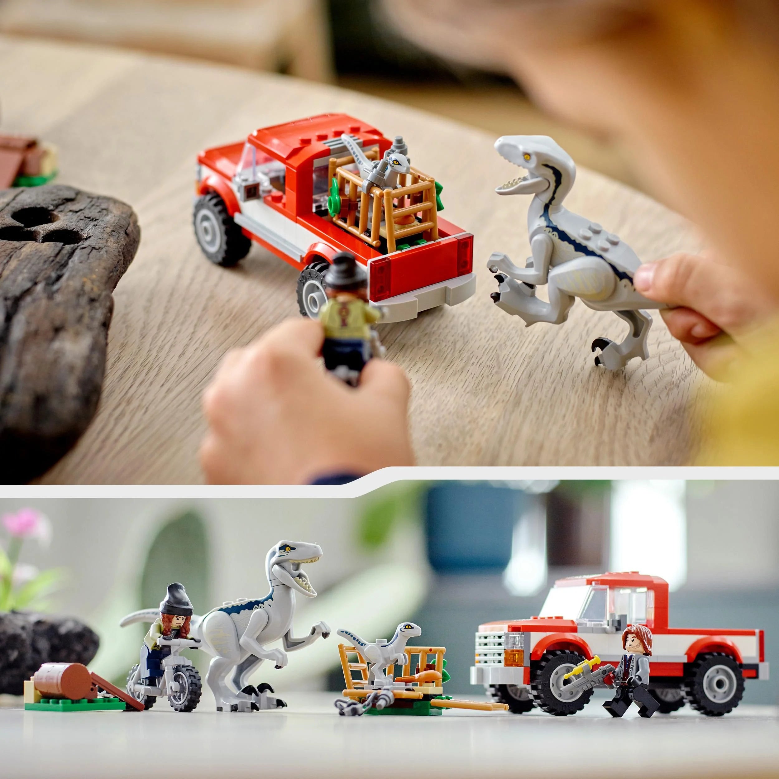 LEGO Jurassic World Dino Combo Pack 66774 Toy Value Pack, 2 in 1 Triceratops and Velociraptor Gift Set, Jurassic World Toy with Dinosaur and Truck Toys, Christmas Gift for Kids Ages 7 and Up Y95618