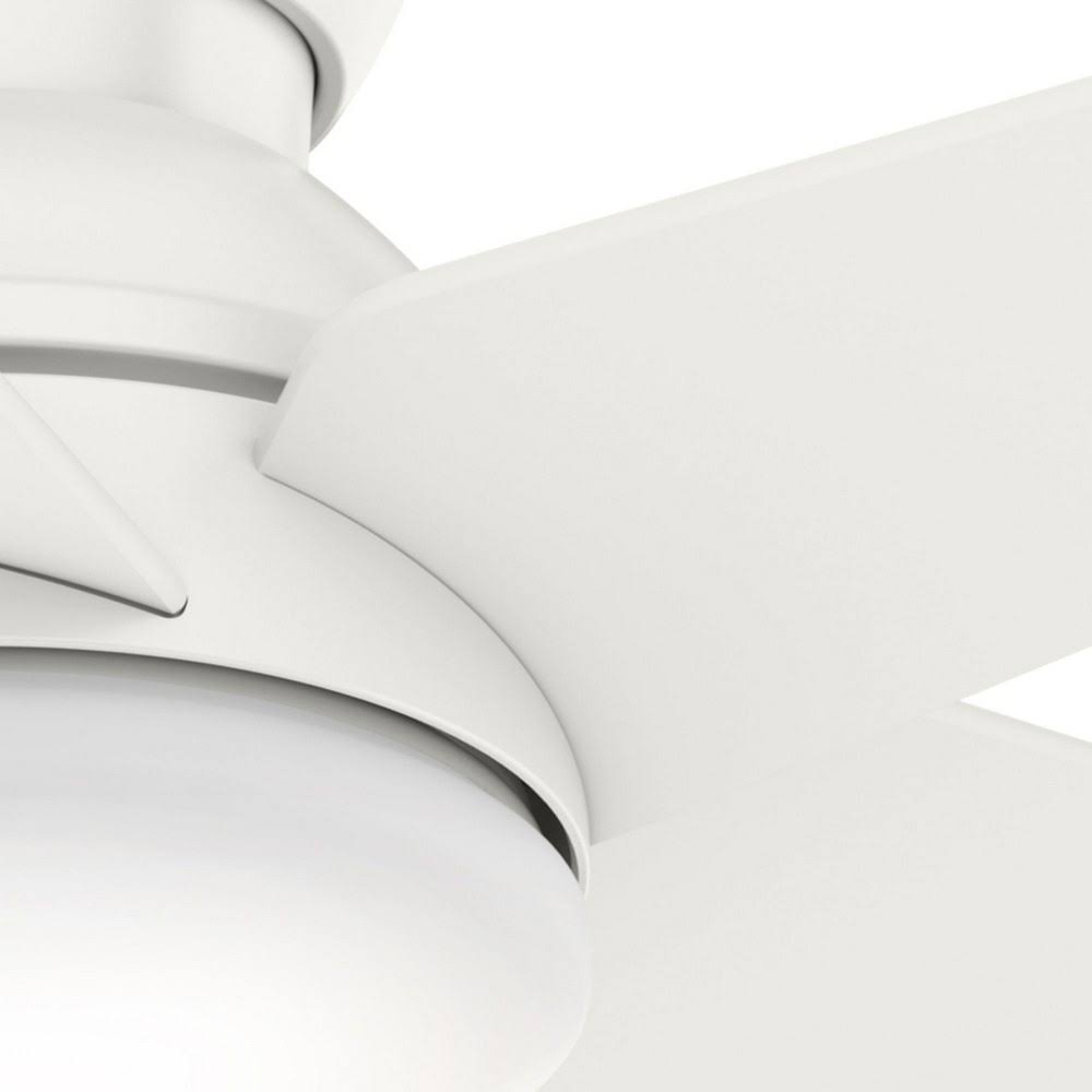 Isotope 44 Ceiling Fan C1233