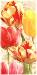 Glowing Tulips Canvas M794689