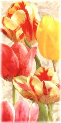 Glowing Tulips Canvas M794689