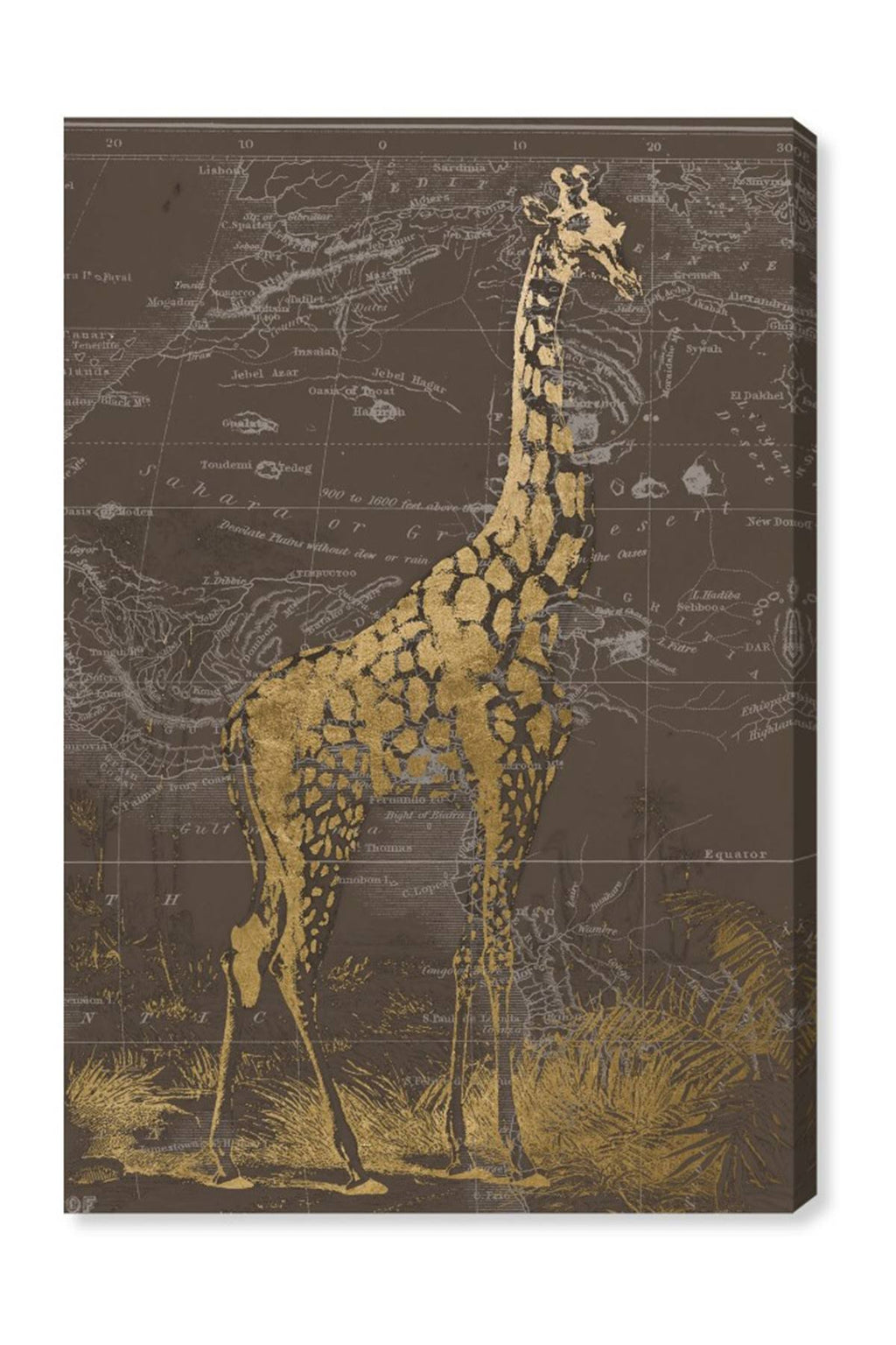 Canvas Art I541