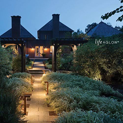 Bronze LED Landscape Light Y879