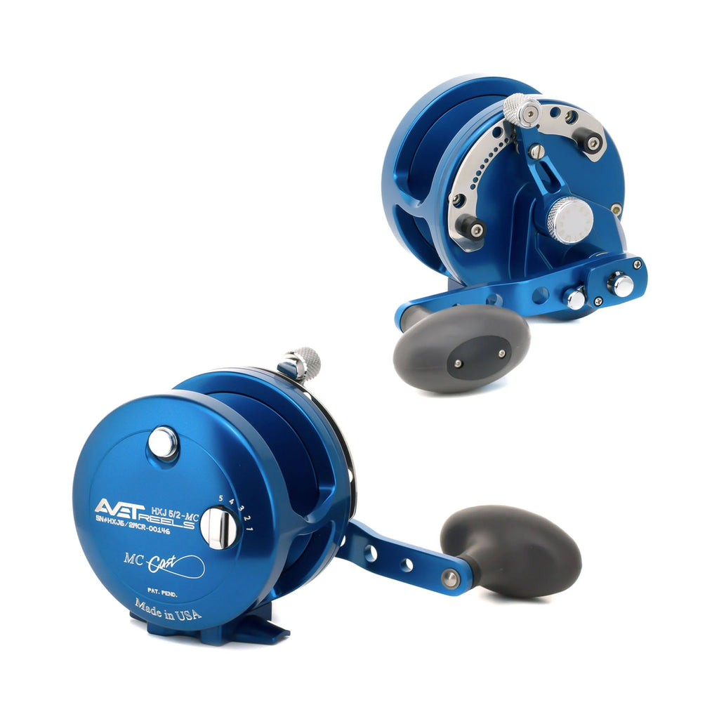Silver Two Speed Lever Drag Casting Reel P600887