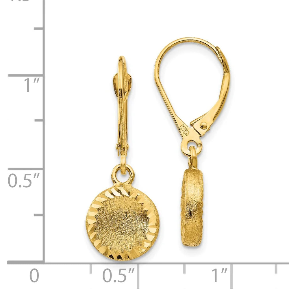 14k Brushed and Polished Diamond-cut Circle Leverback Earrings C745