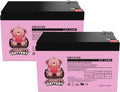 12V 12Ah Replacement Mobility Scooters Battery 2 Pack Q613