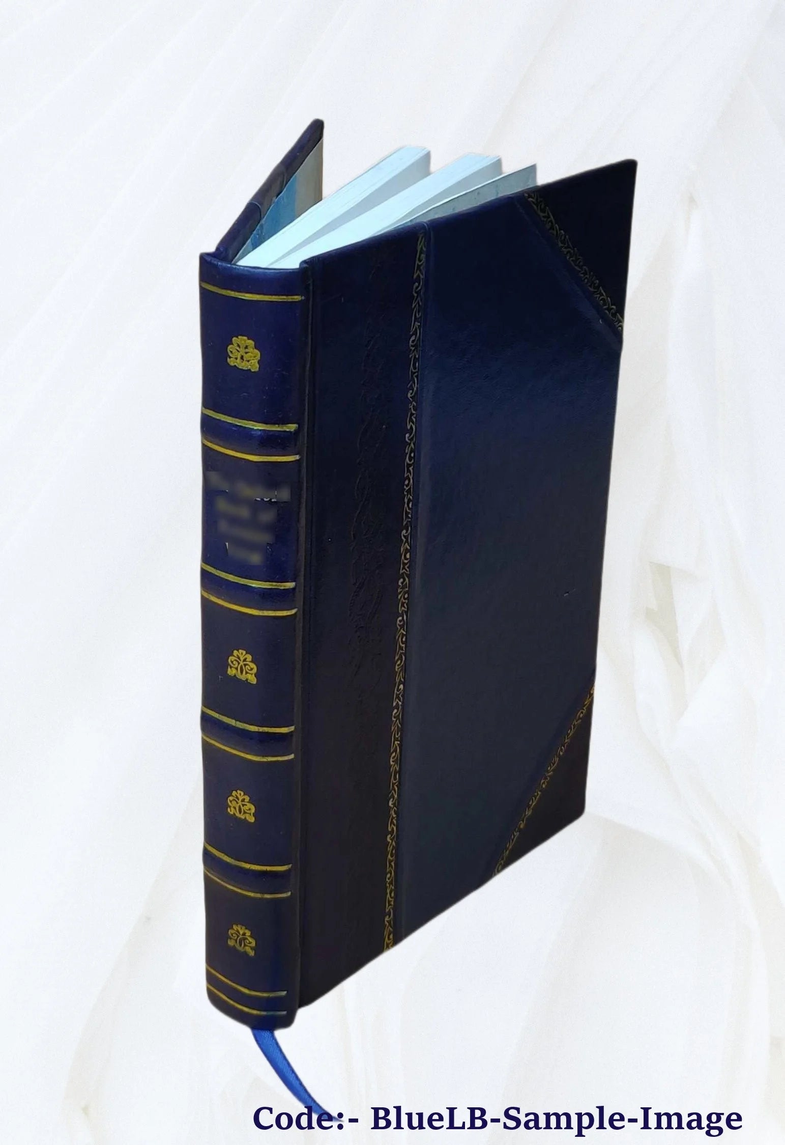 Valhalla; a novel 1900 [Leather Bound] F836