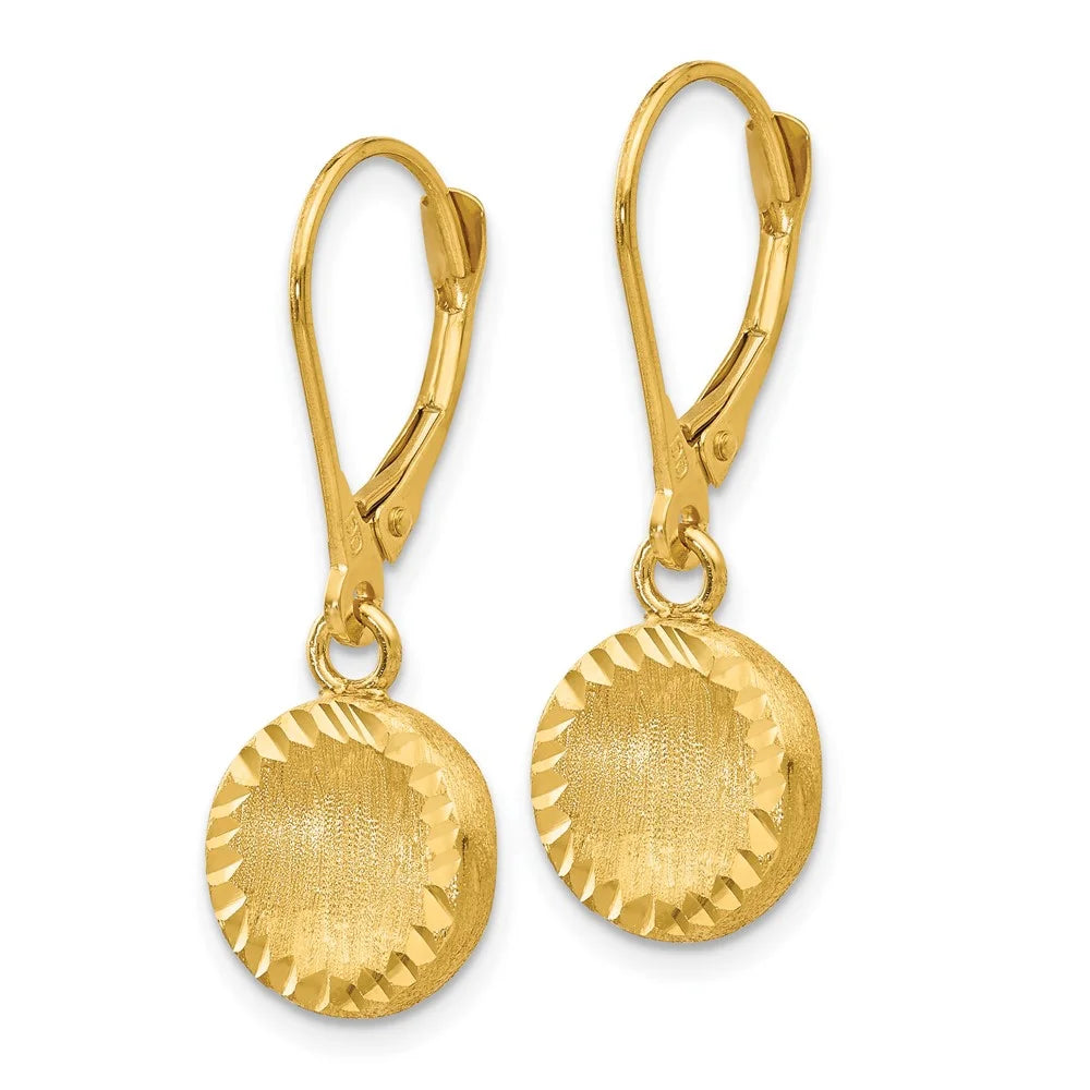 14k Brushed and Polished Diamond-cut Circle Leverback Earrings C745