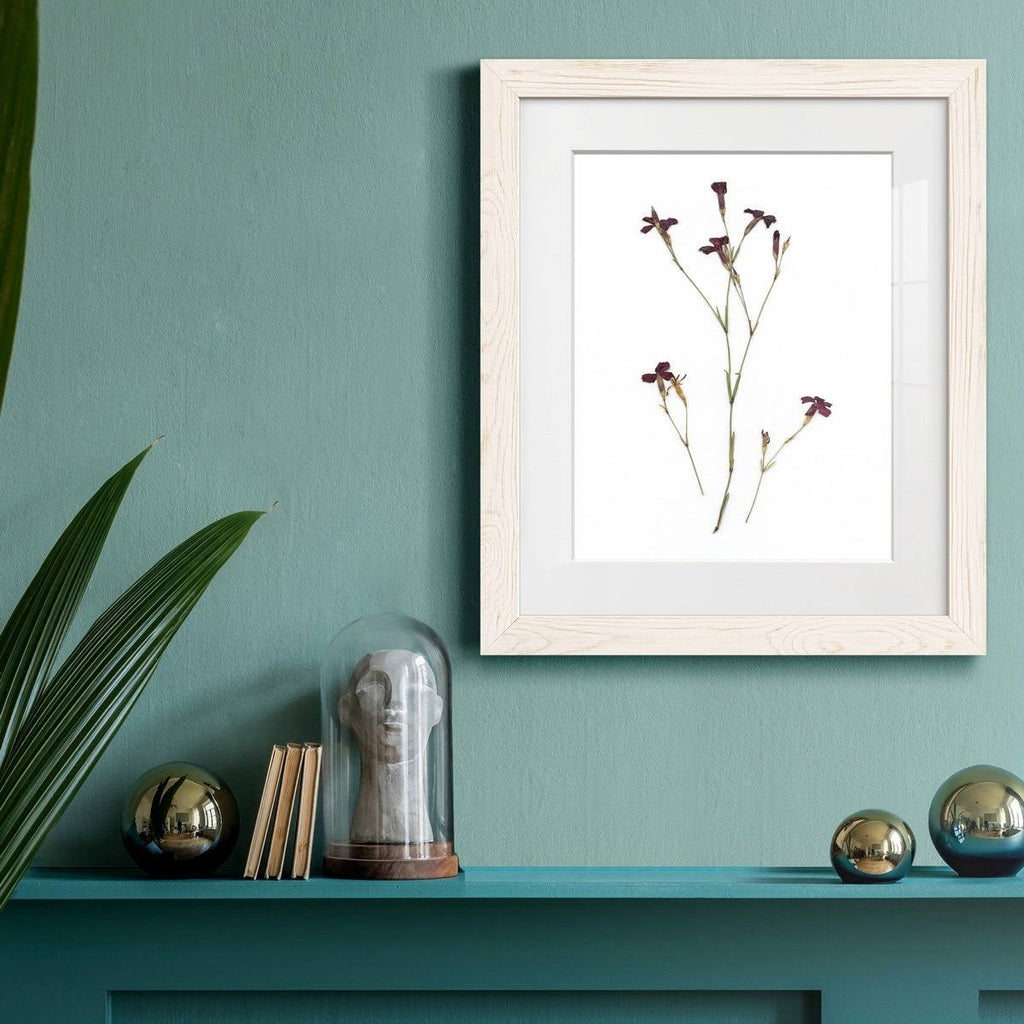 Walnut Framed Print J305185