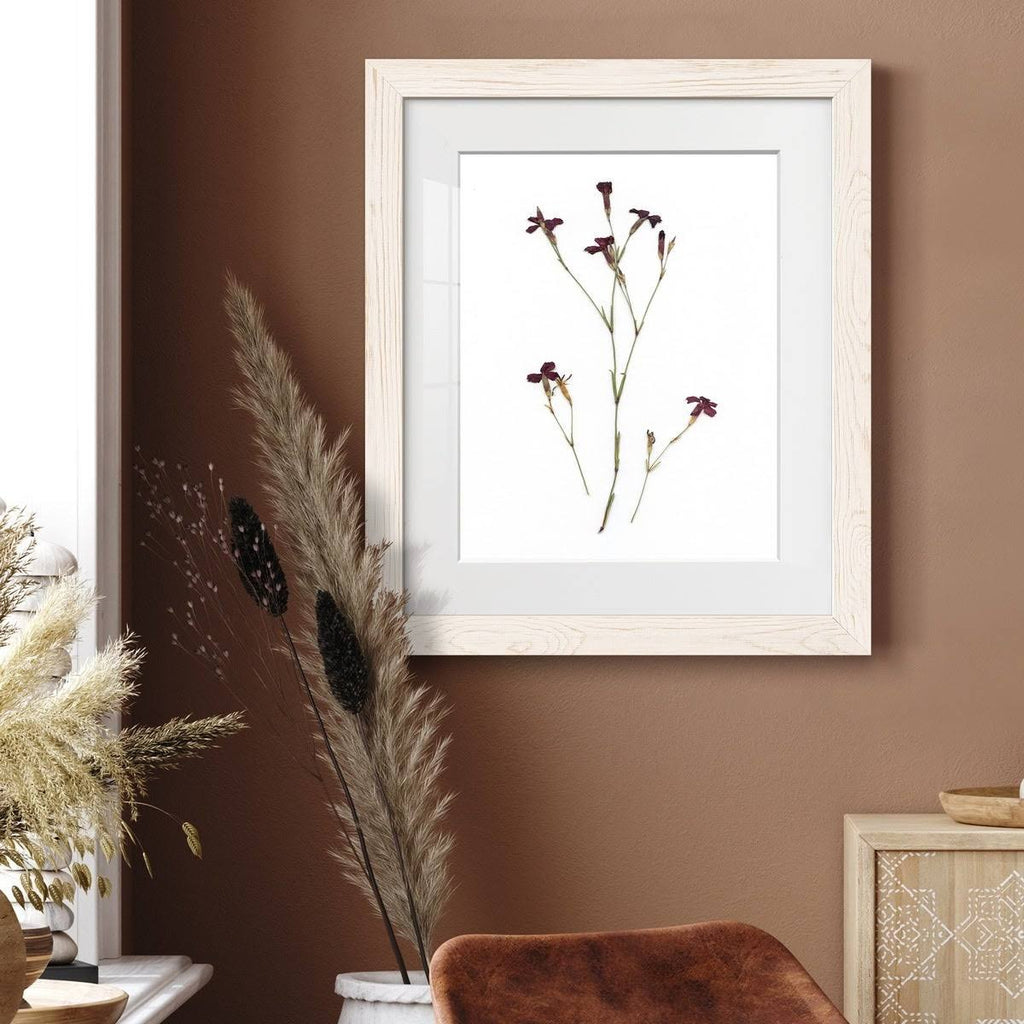 Walnut Framed Print J305185