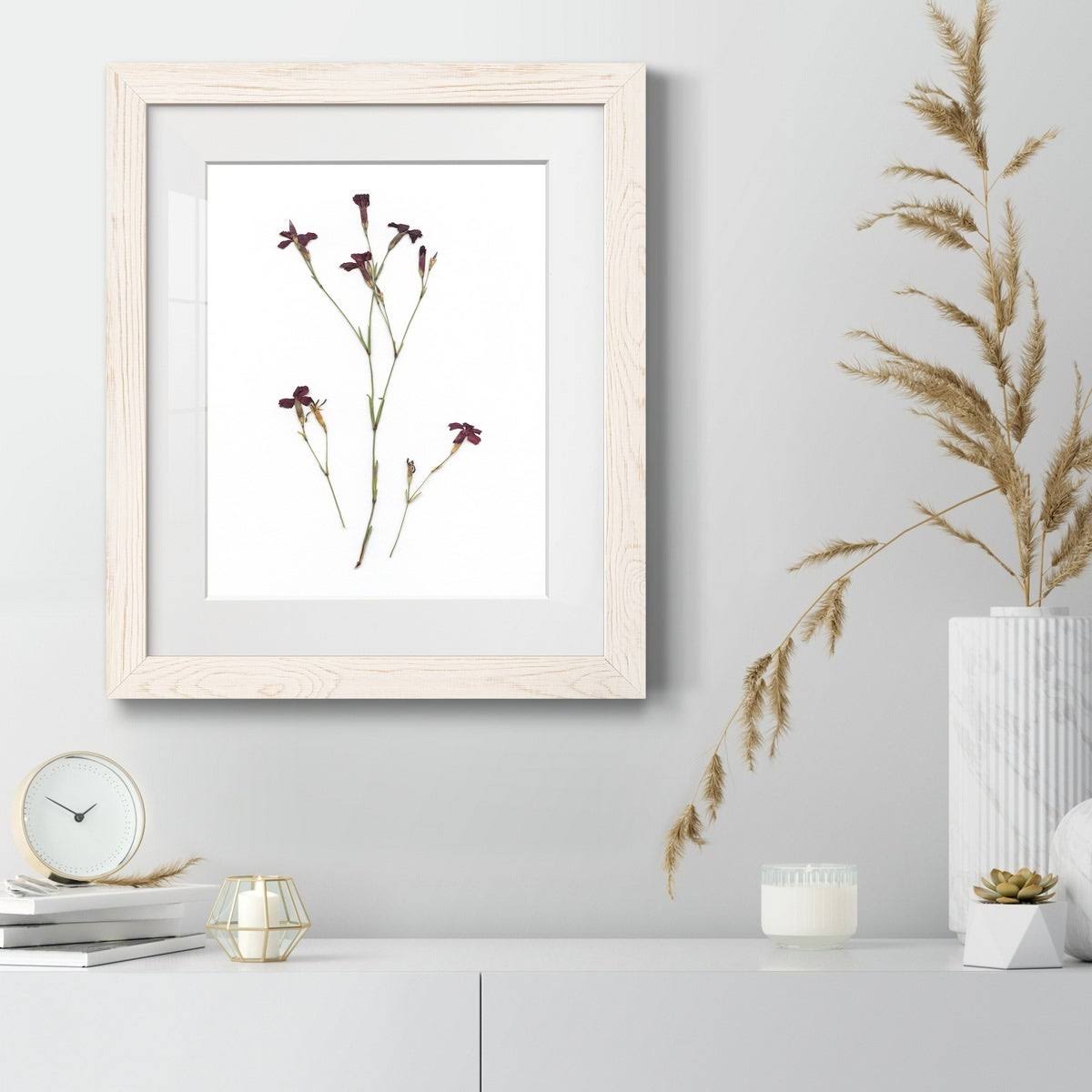 Walnut Framed Print J305185