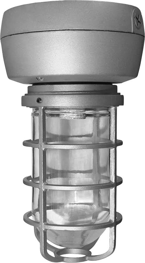 Silver Ceiling Light J697