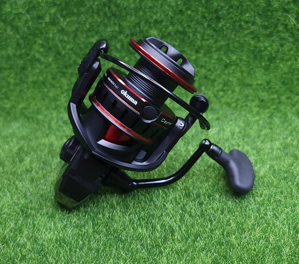 Spinning Fishing Reel N45886