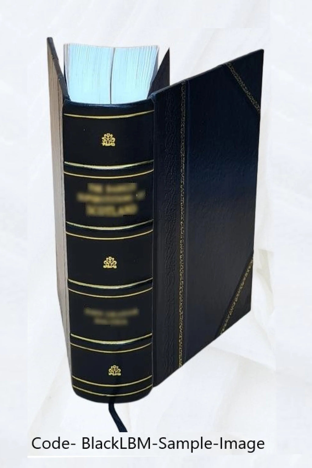 JOHN MILTON IN RELATION TO THE ENGLISH RELIGIOUS LITERATURE OF THE SEVENTEENTH CENTURY. 1923 [Leather Bound] I1349