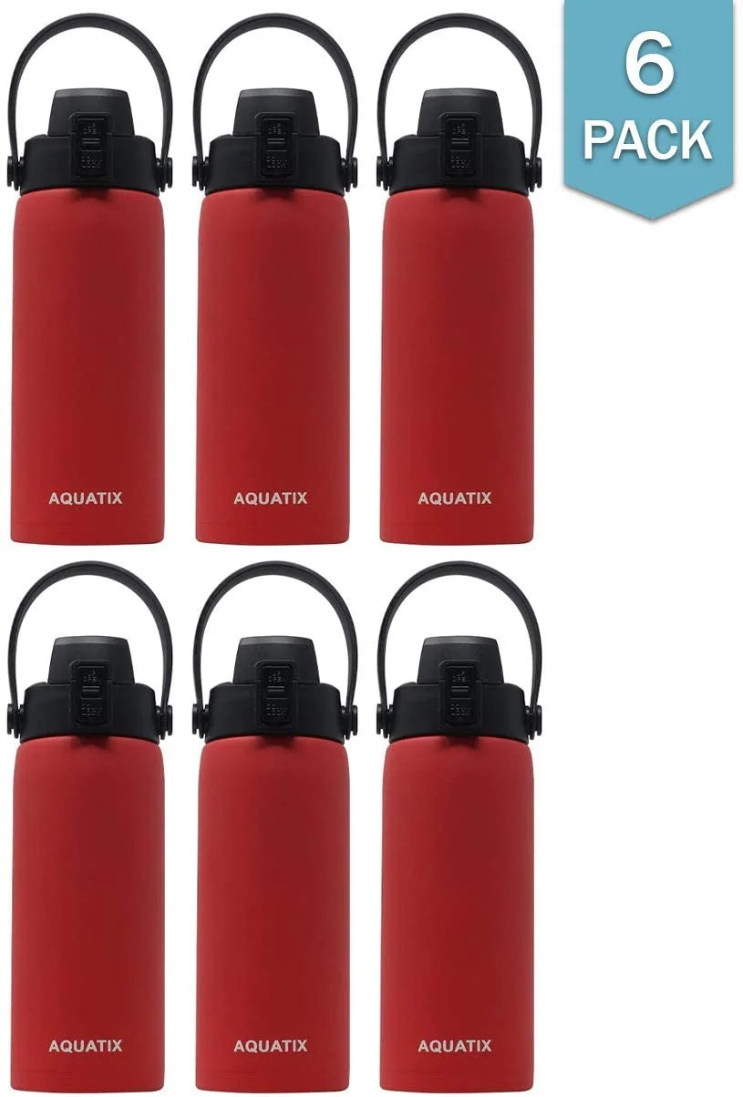 6-Pack Red 21 Ounce Stainless Steel Double Wall Insulated Sports Water Bottle X98761