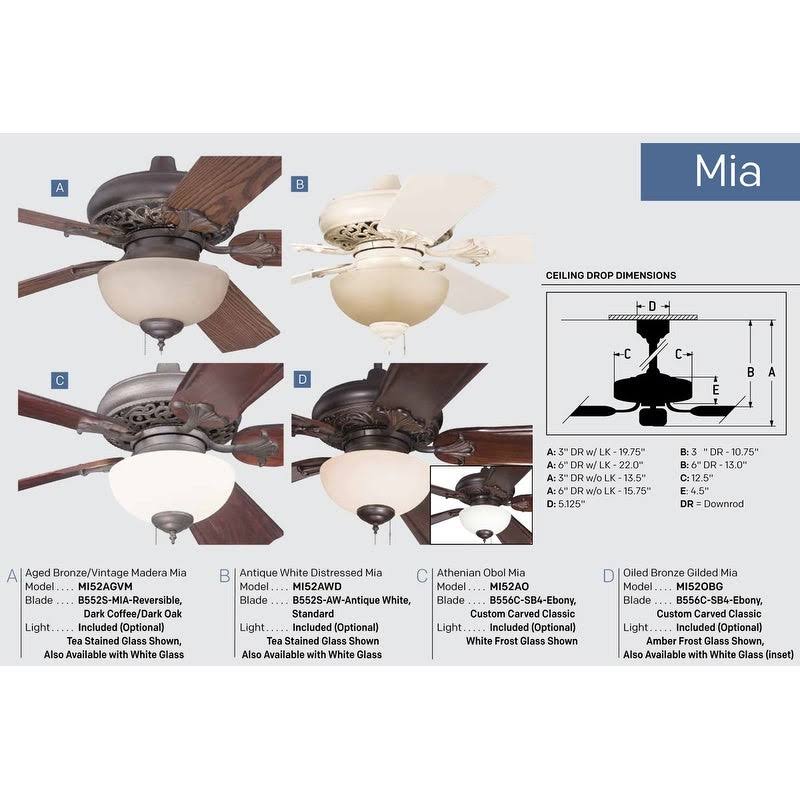 2 Light Ceiling Fan Y6753