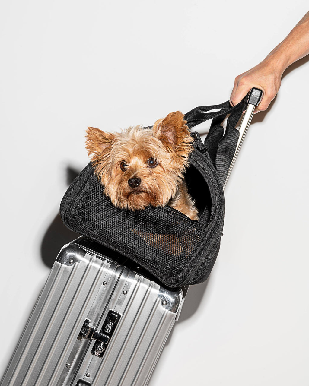 Black Travel Carrier A1876