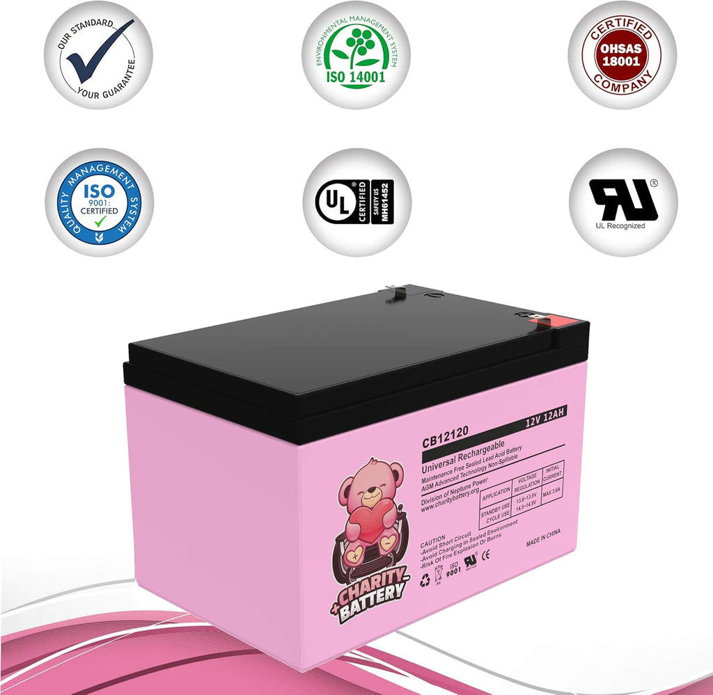 12V 12Ah Replacement Mobility Scooters Battery 2 Pack Q613