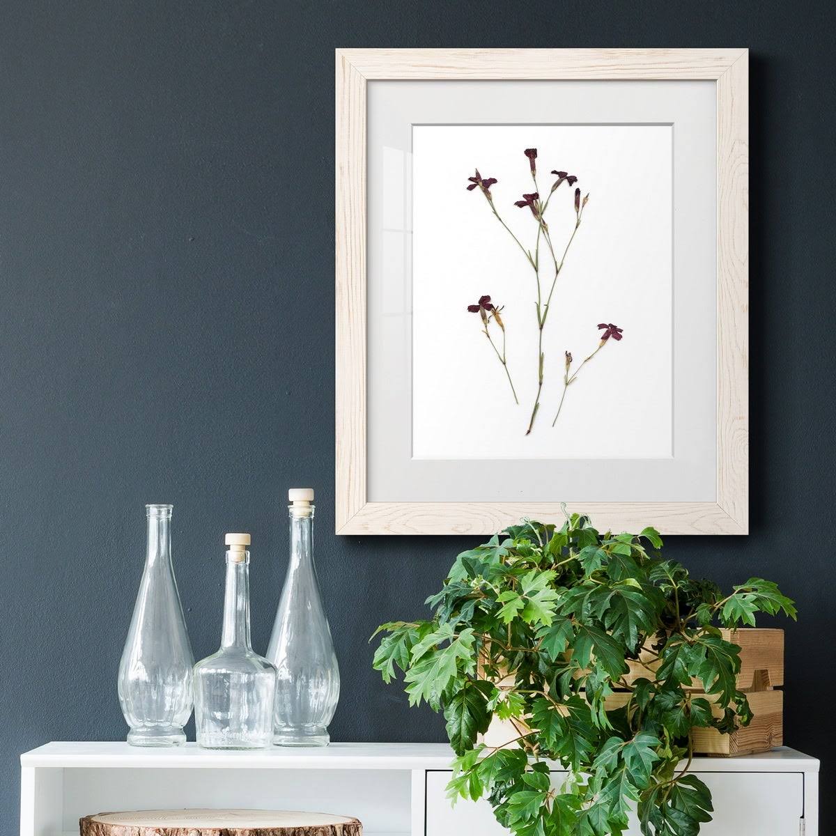Walnut Framed Print J305185