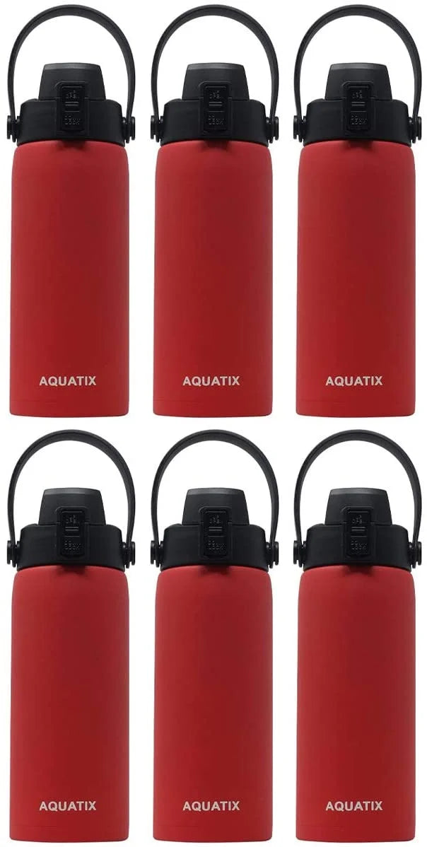 6-Pack Red 21 Ounce Stainless Steel Double Wall Insulated Sports Water Bottle X98761