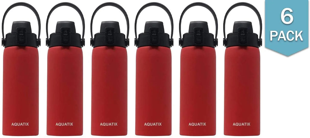 6-Pack Red 21 Ounce Stainless Steel Double Wall Insulated Sports Water Bottle X98761