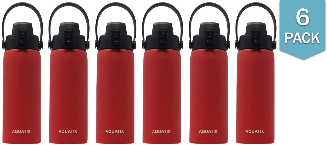 6-Pack Red 21 Ounce Stainless Steel Double Wall Insulated Sports Water Bottle X98761