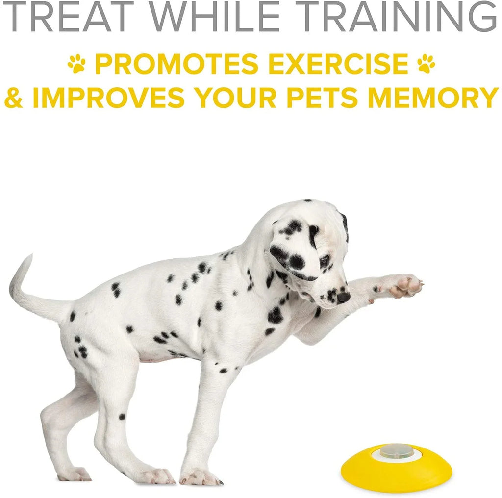 Dog Puzzle Treat Dispenser Toy E509865
