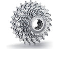 Campagnolo Cassette 10S 14-23t Q37745