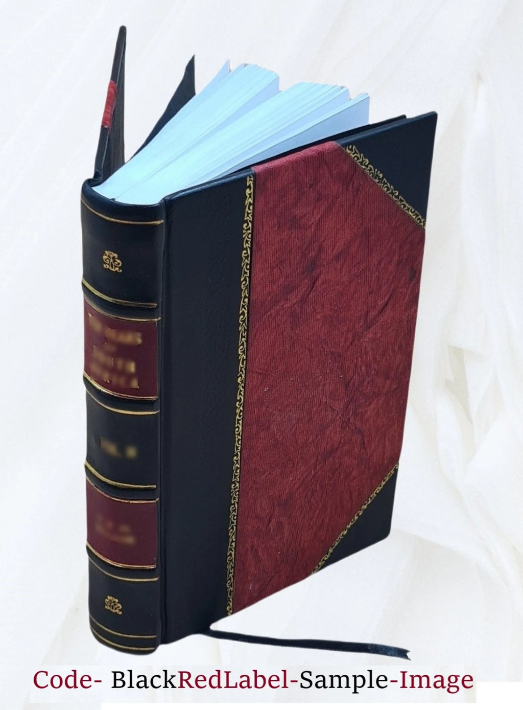 Valhalla; a novel 1900 [Leather Bound] F836